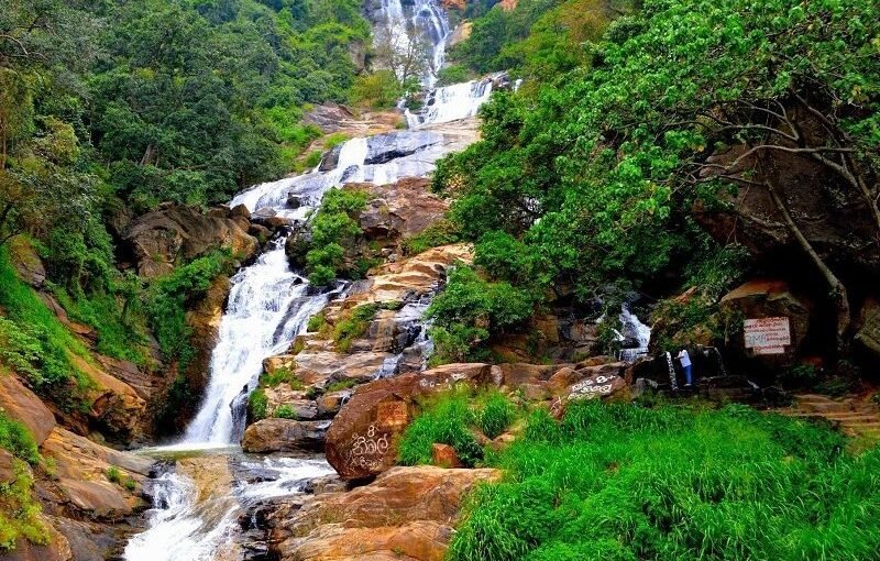 Ella’s Short Train Ride: What to Check for a Colombo Day Excursion