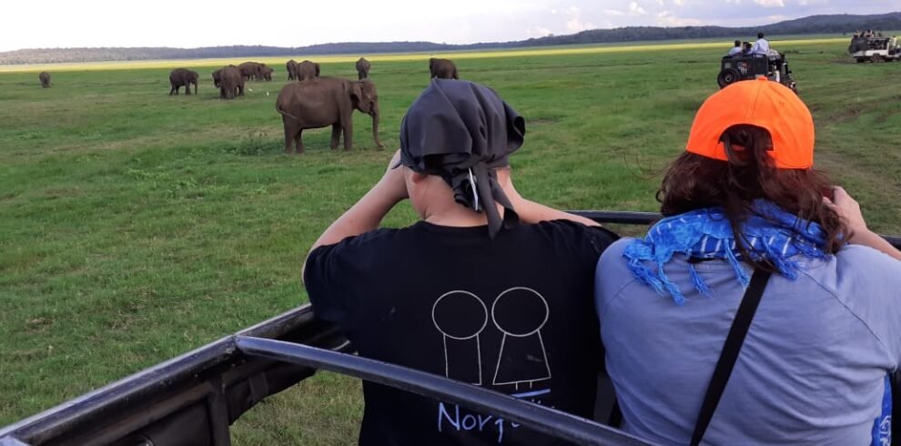 Travellers watching elephants from a safari jeep in Maduru Oya National Park