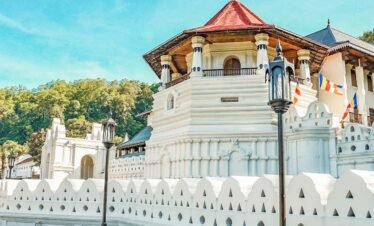 Private Kandy day tour from Colombo with driver