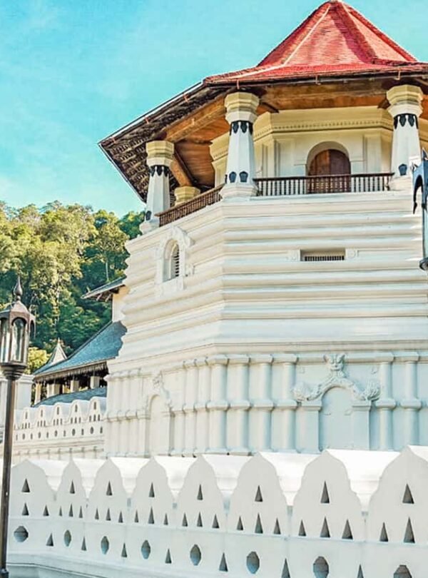 Private Kandy day tour from Colombo with driver