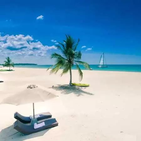 Palm-lined beach in Sri Lanka