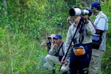 Birdwatching inspiration from the JK Travels Sri Lanka gallery