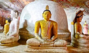 polonnaruwa day tour from colombo