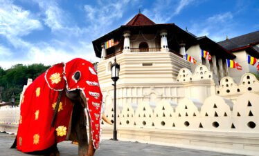tours in sri lanka
