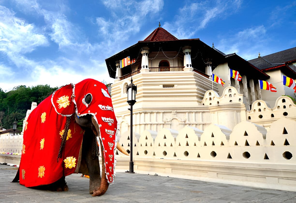 tours in sri lanka