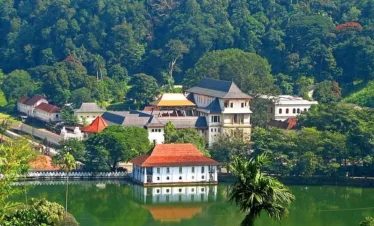 Kandy day tour from Colombo visiting Temple of the Tooth