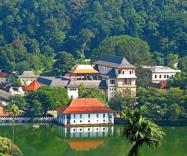 Kandy day tour from Colombo visiting Temple of the Tooth