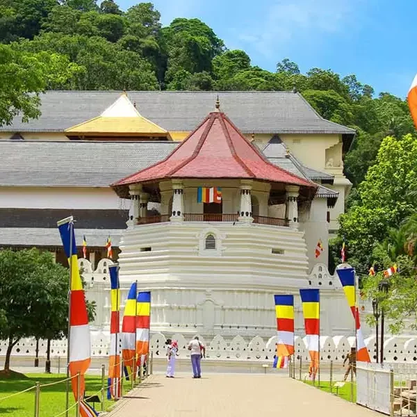6 day sri lanka cultural tours