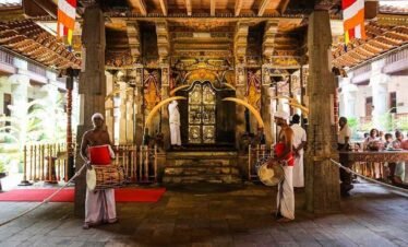 kandy day tour from colombo