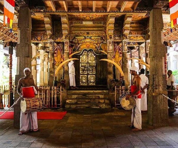 kandy day tour from colombo