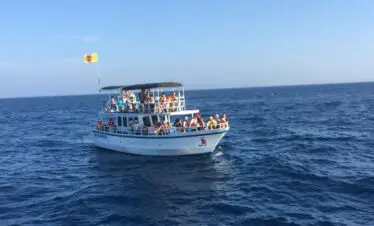 whale watching mirissa