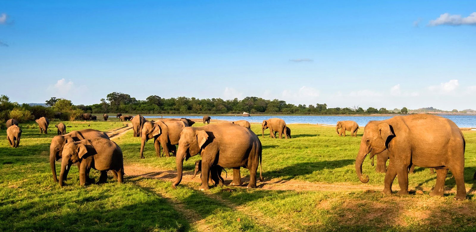 Sigiriya & Safari