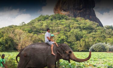 tours in sri lanka