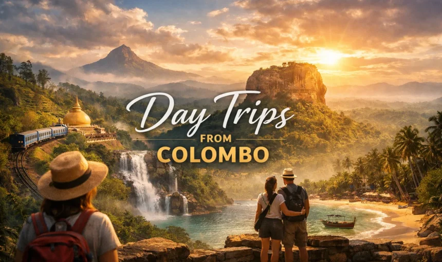 Best day tours available from Colombo