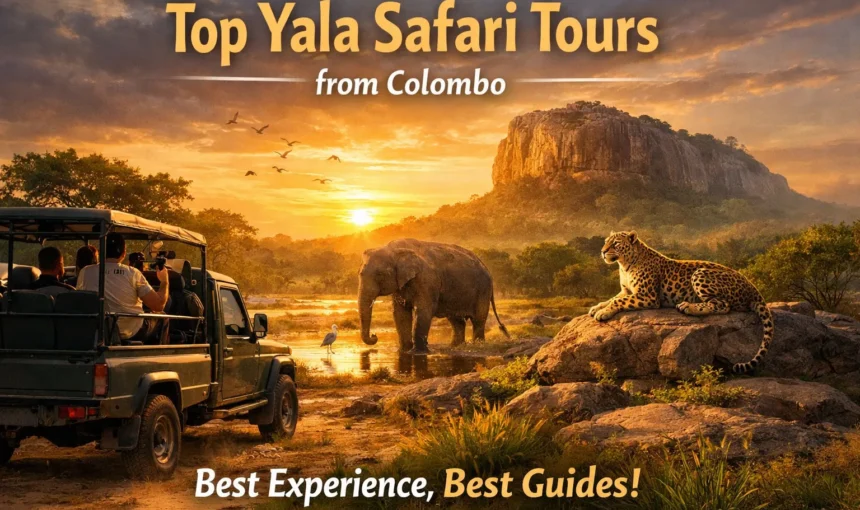 Why This Is the Best Tour Operator for Yala Safari from Colombo