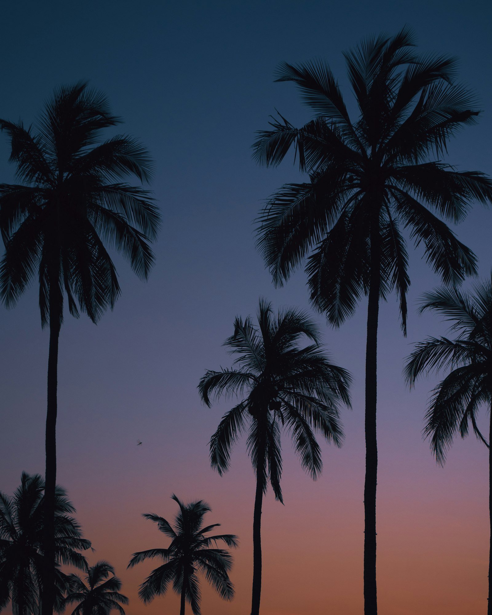 Sunset at Kalpitiya