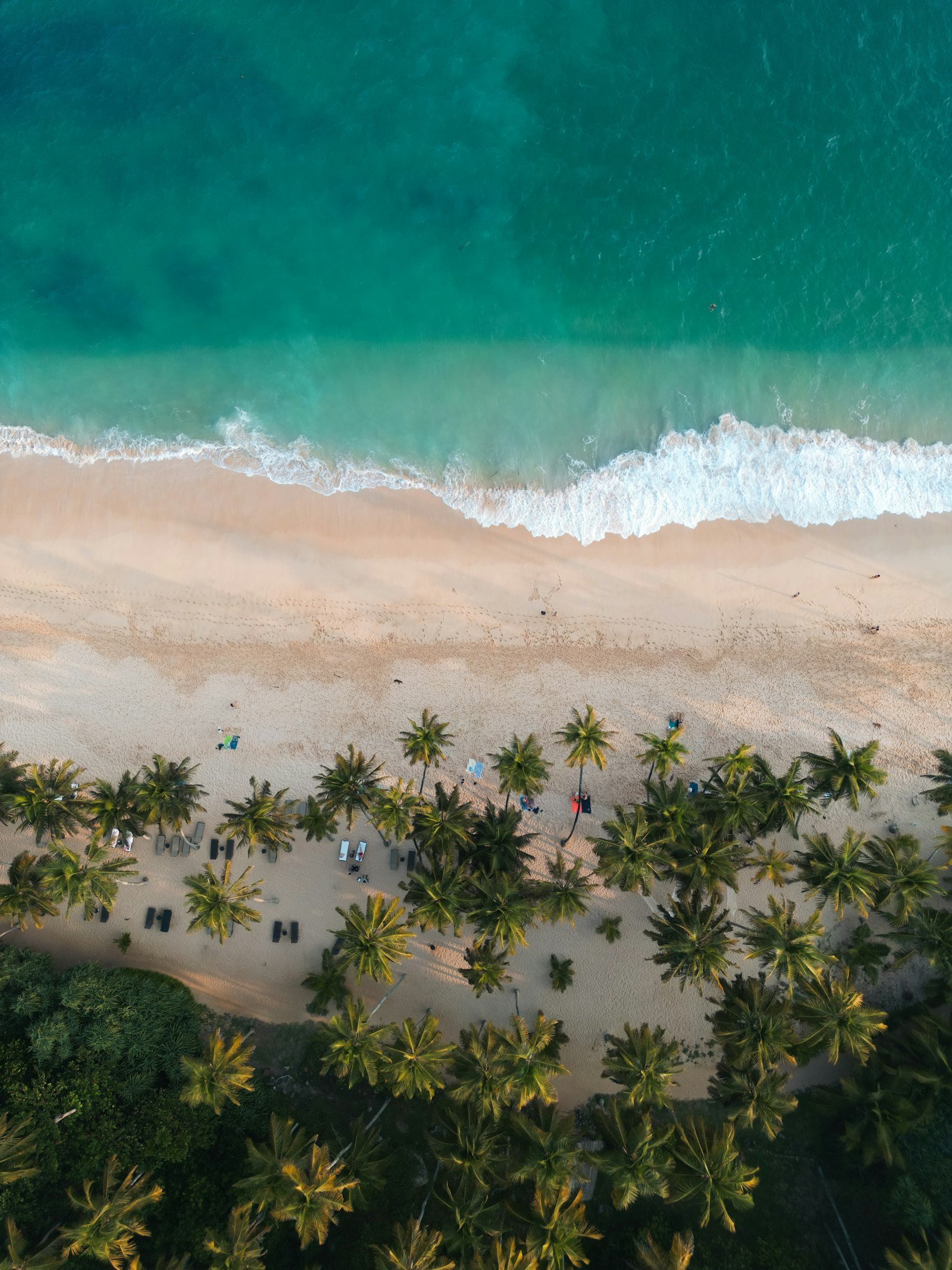 7-Day Sri Lanka Beach Honeymoon