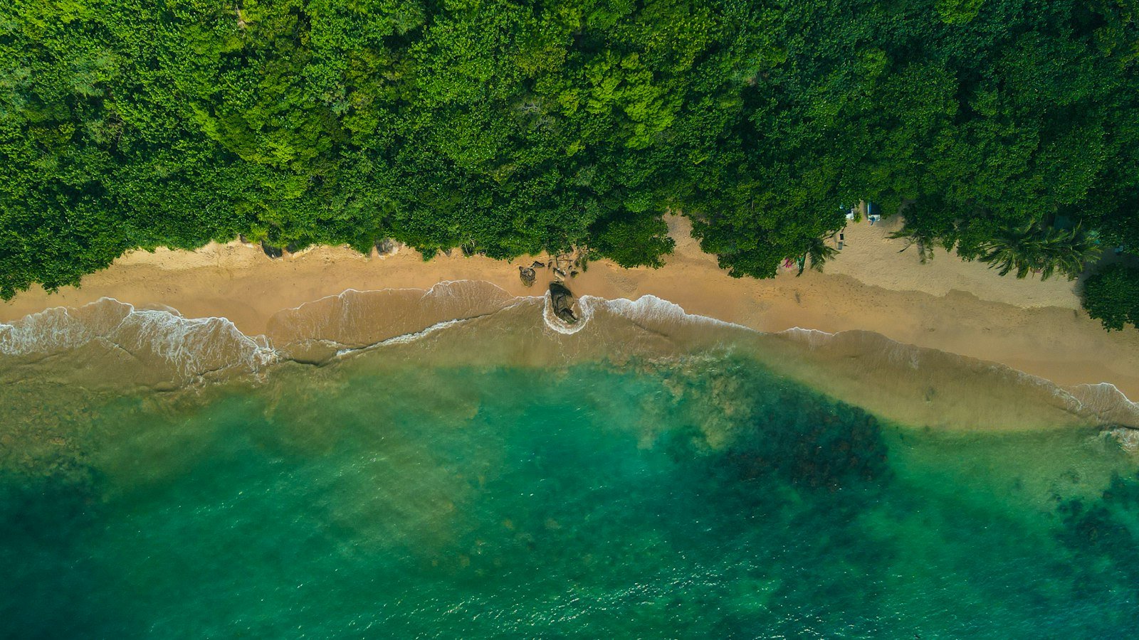 Rumassala near Unawatuna